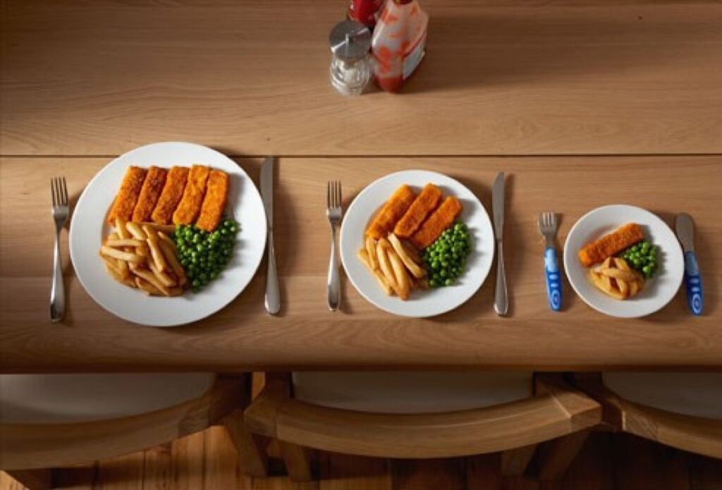 fast food Portion Size