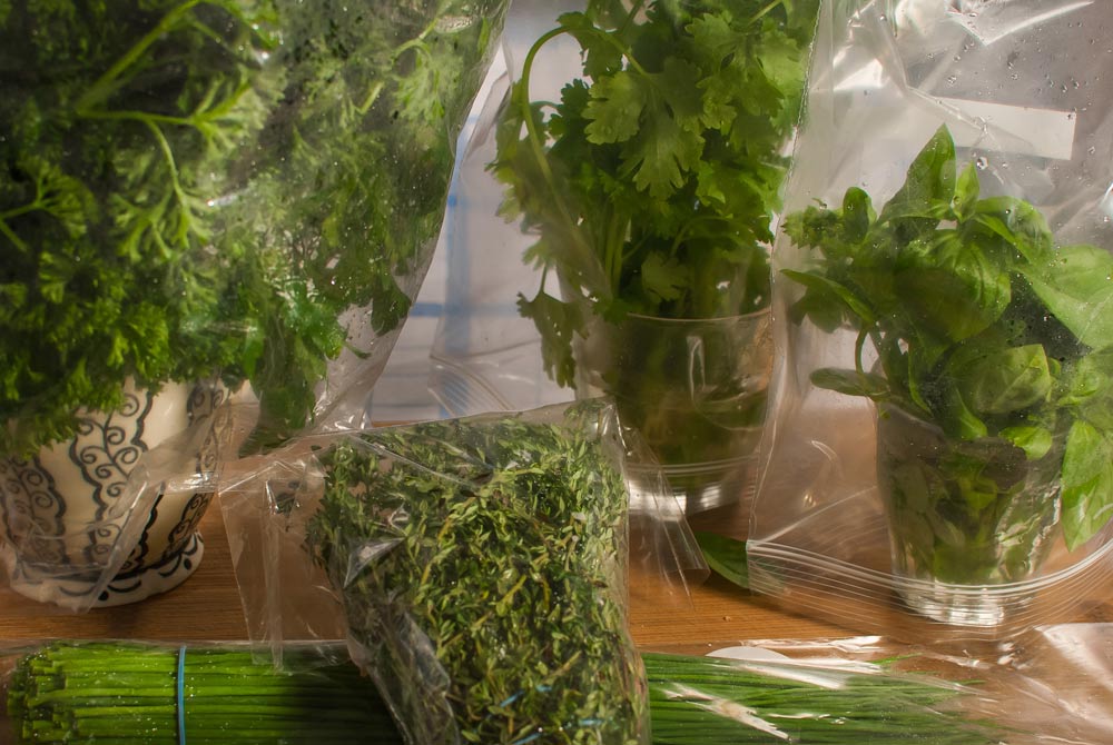 Trim the stems of herbs place them in a small glass of water and cover them with a plastic bag